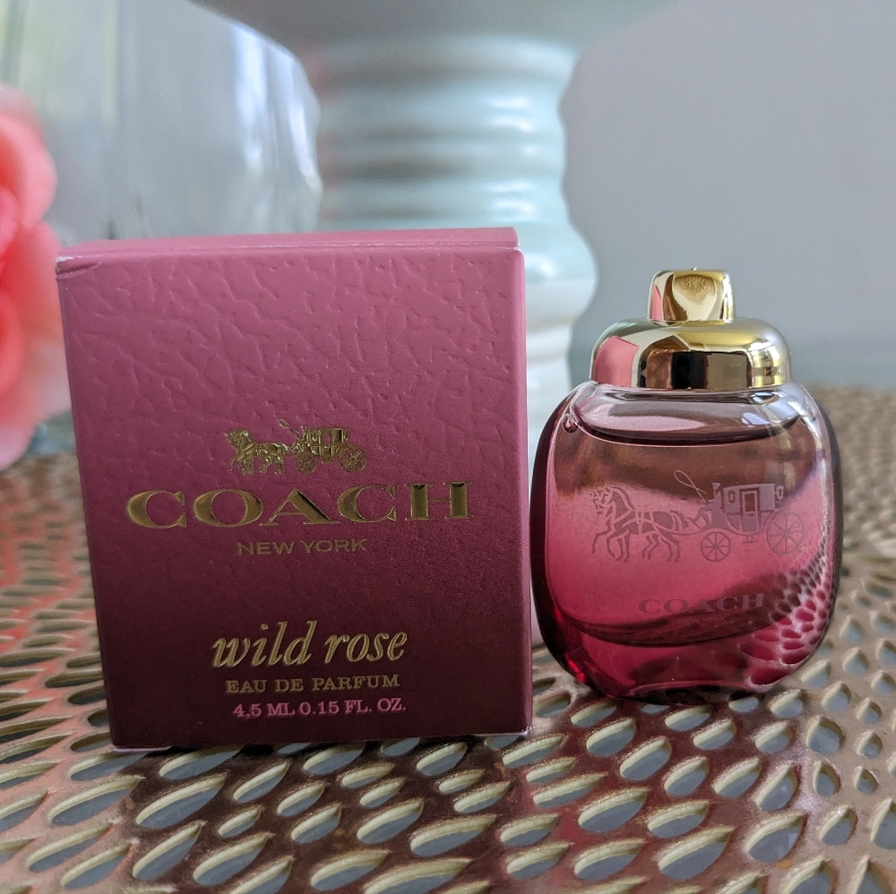 Coach mini